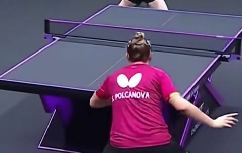 开云APP-湖人技术犯规送分，孙颖莎主帅怒摔战术板！